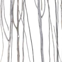 thicket gray